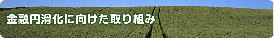 金融円滑化に向けた取り組み