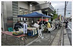 足立区自慢の新鮮野菜を販売します。